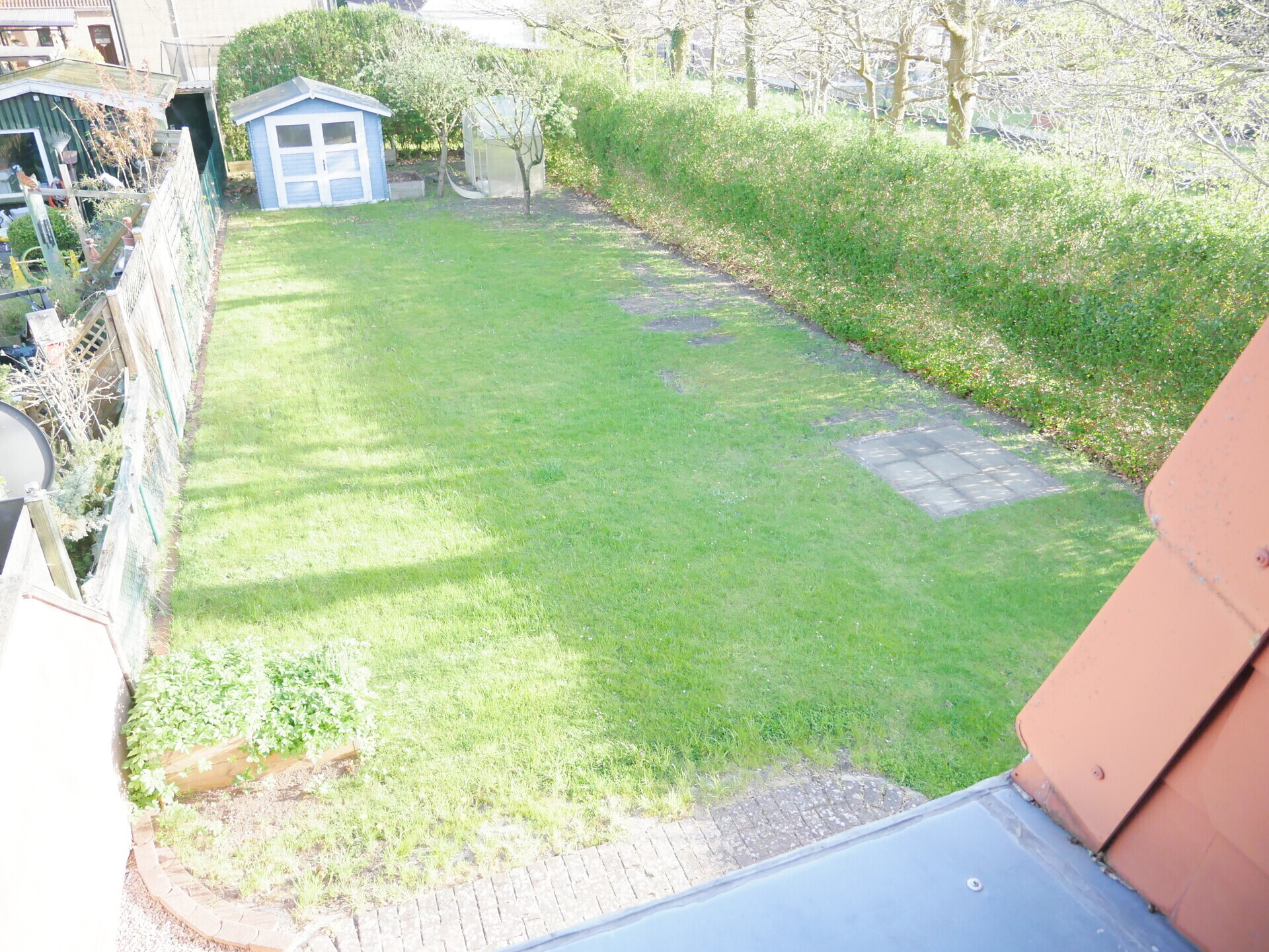 Blick in den Garten