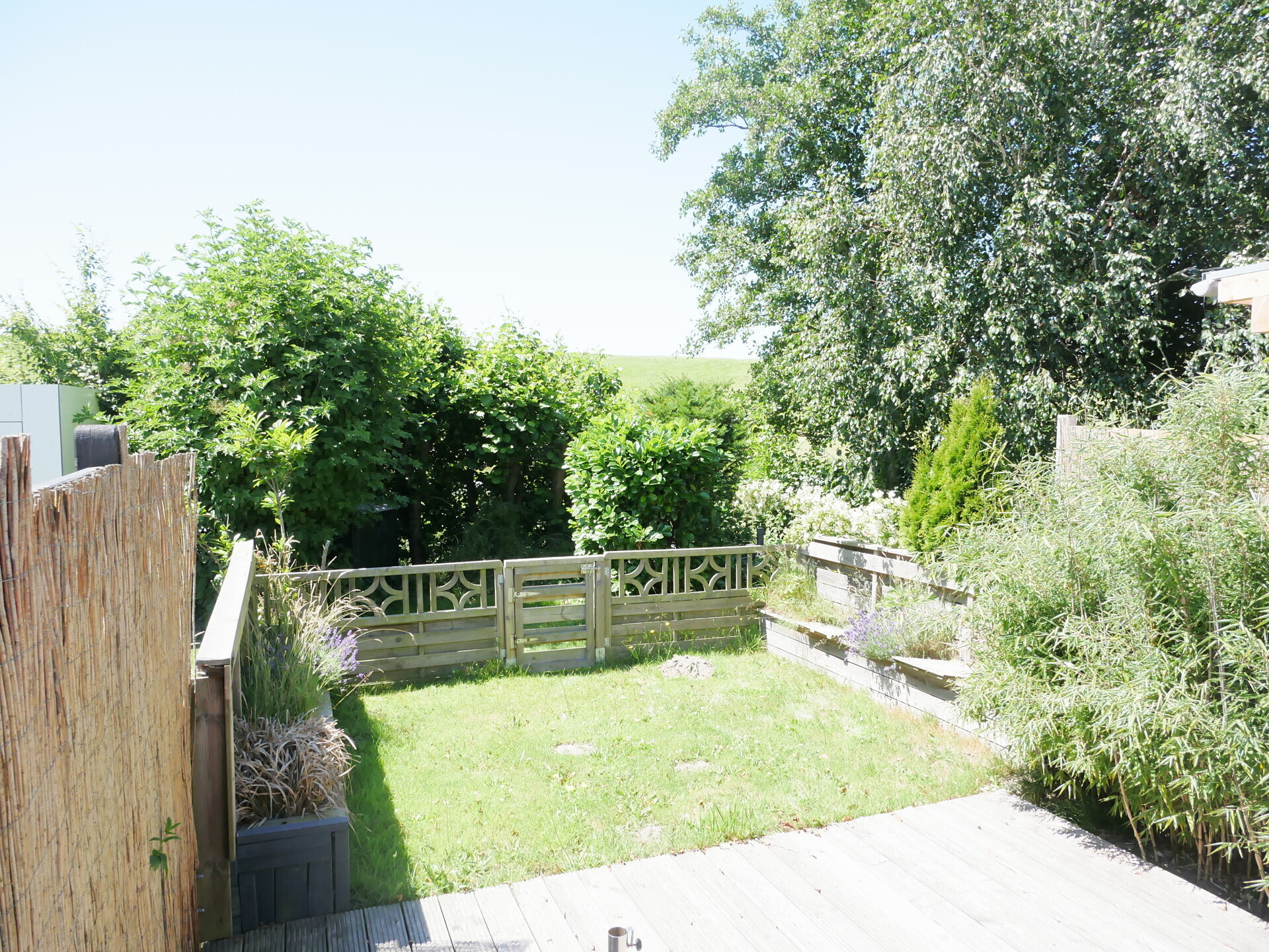 Sonnenterrasse