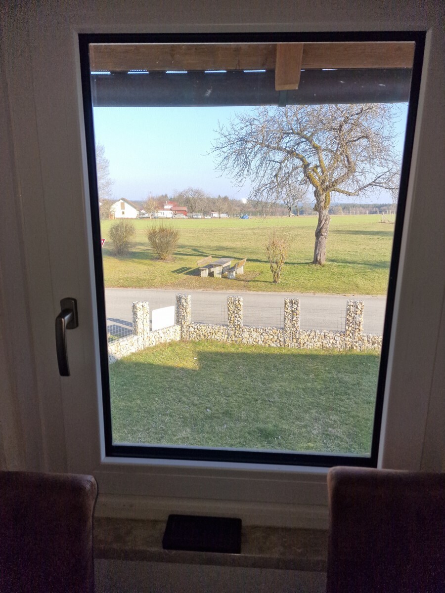 Blick ins Grüne