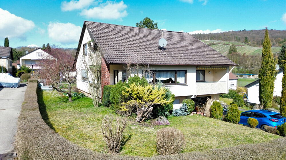 Ansicht Garten und Haus