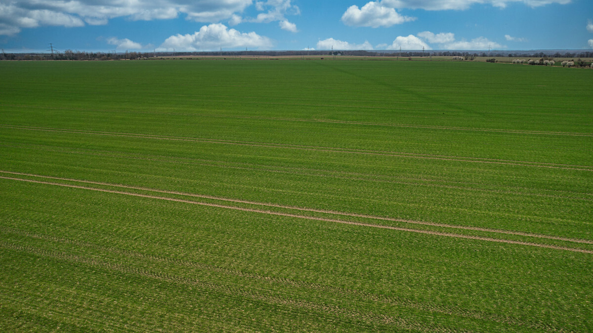 Blick hinten vom Grundstück weg
