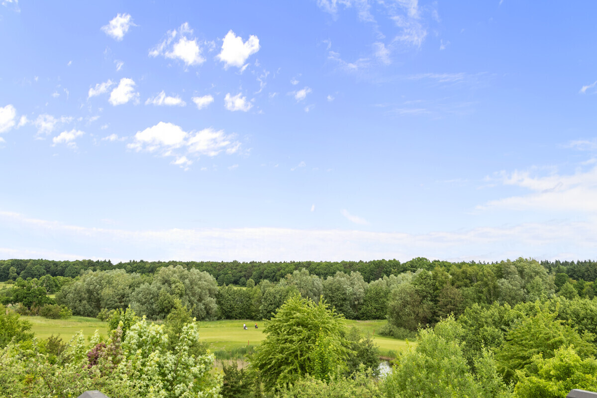 Ausblick