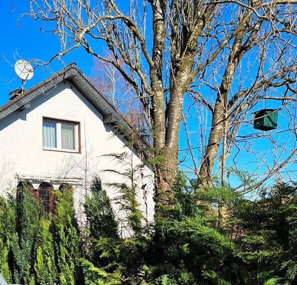 Ansicht