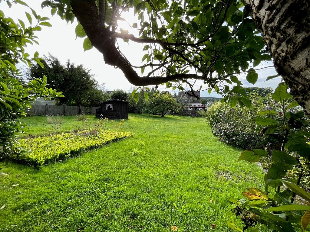 Gartenfläche