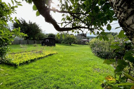 Gartenfläche