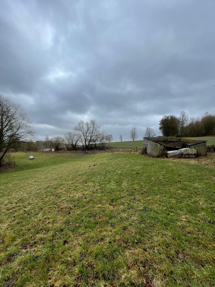 WhatsApp Image 2026-02-23 at 14.05.27