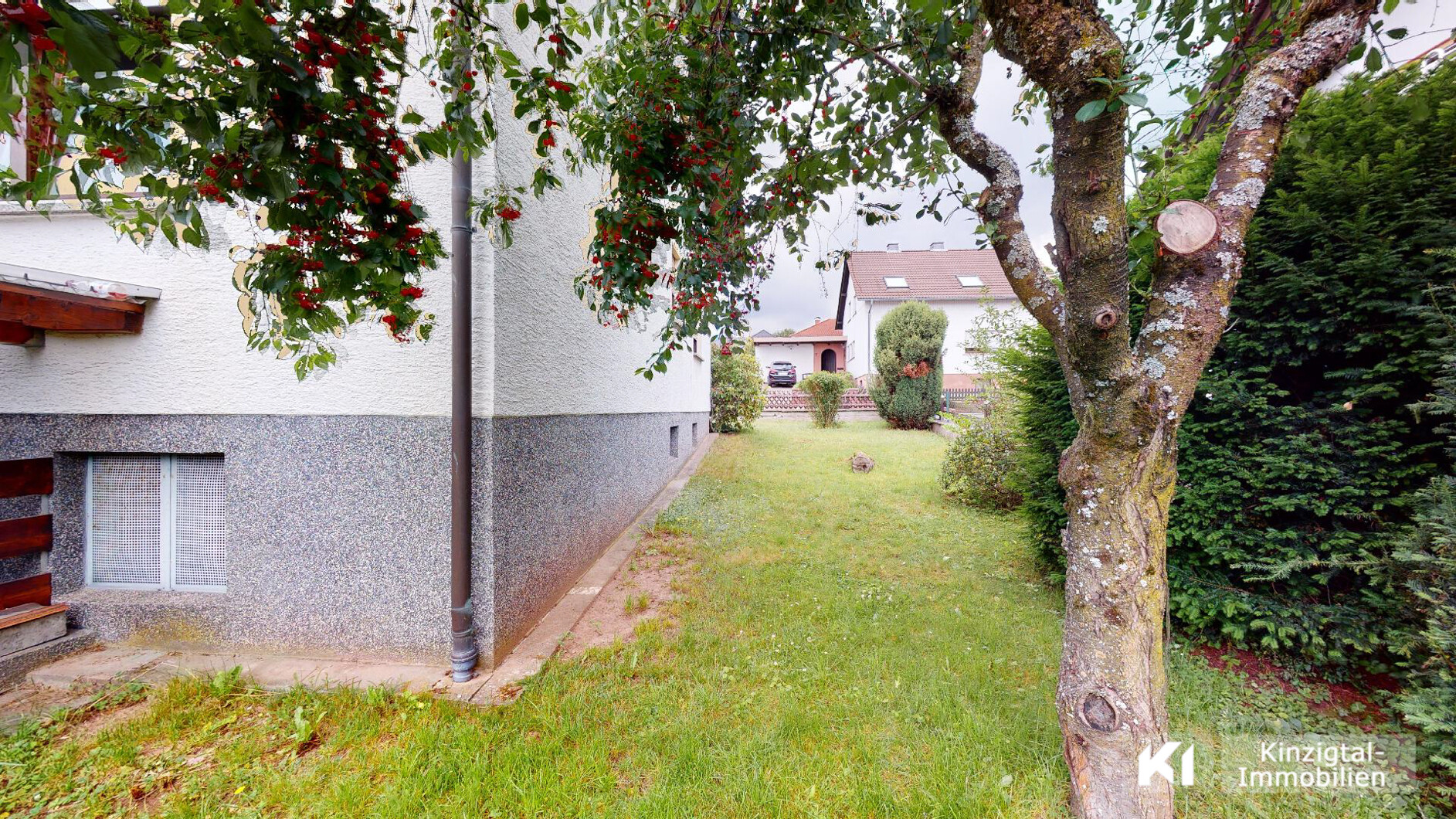 ... schöner Obstbaum