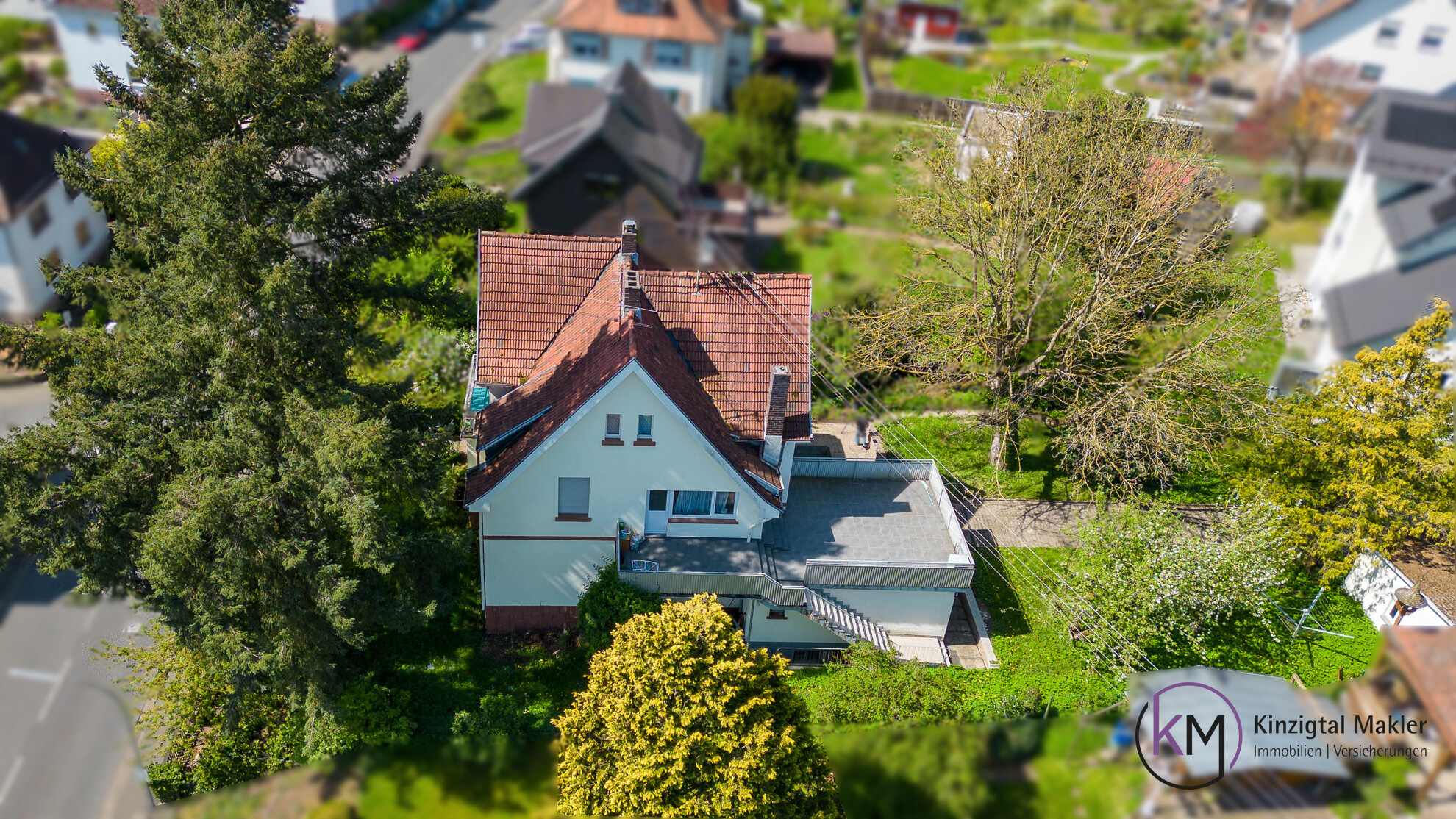Seitenansicht-Ostent