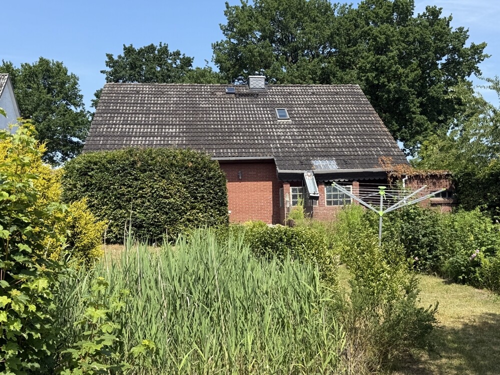 Garten3