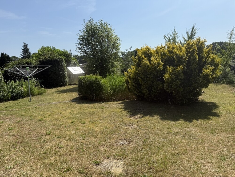 Garten1