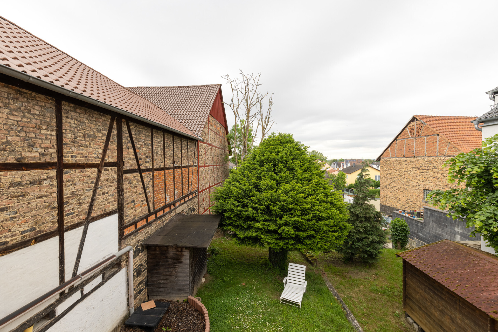 Blick in den Garten - 1