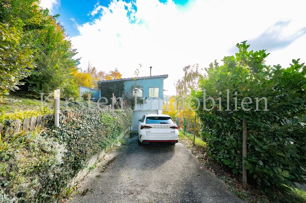 Einfahrt-u.-Garage