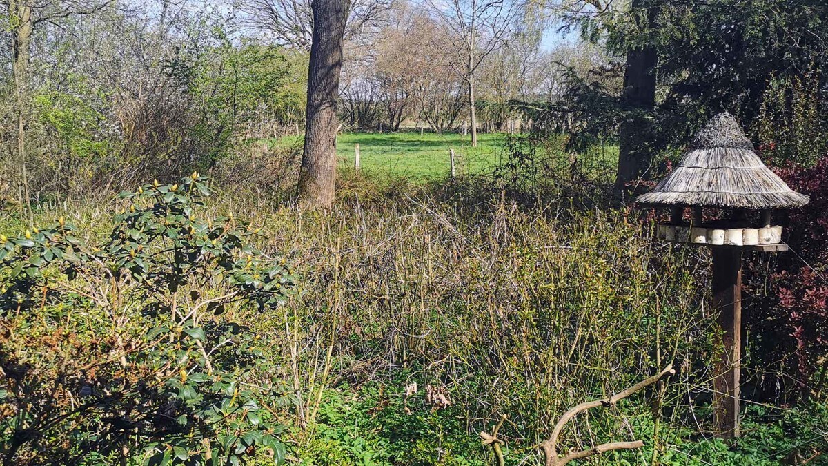 Der Blick zum Grünland