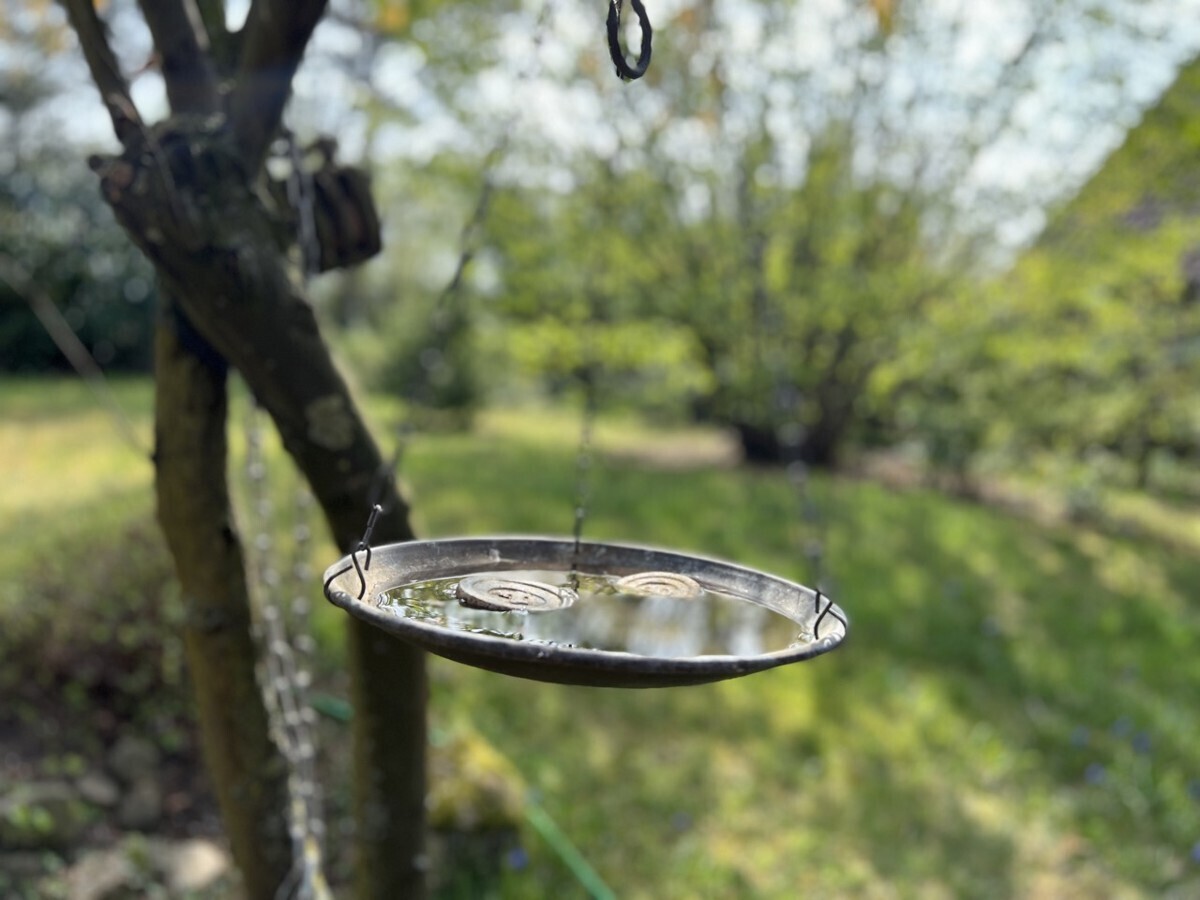 Romantischer Garten
