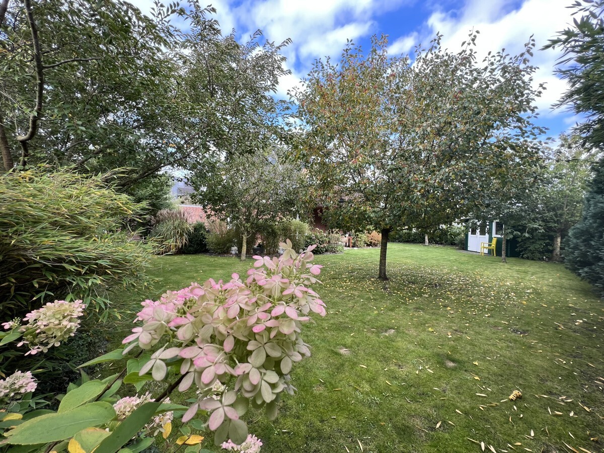 wunderschöner Garten