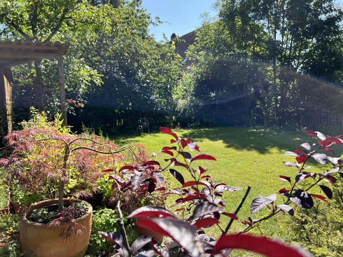 Gartenimpression