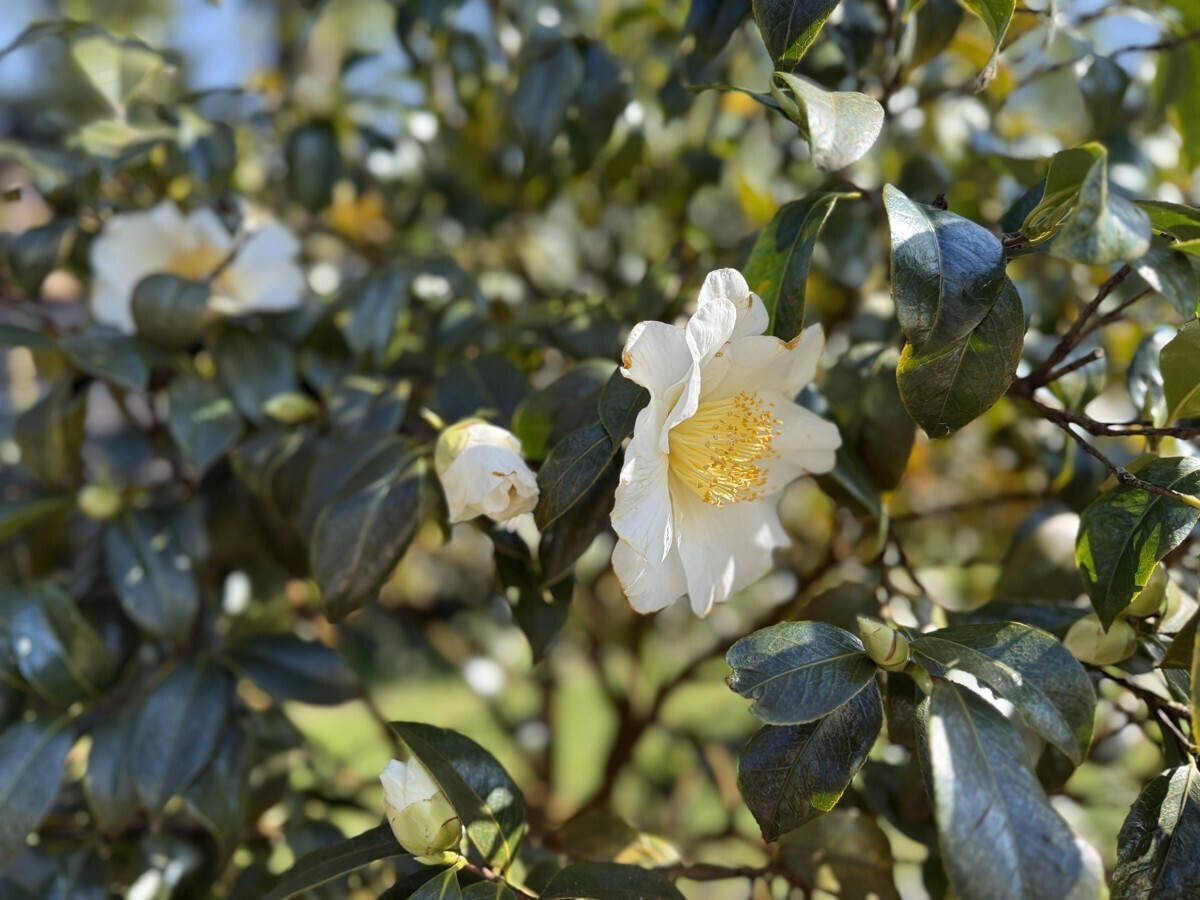 Frühlingsgefühle 
