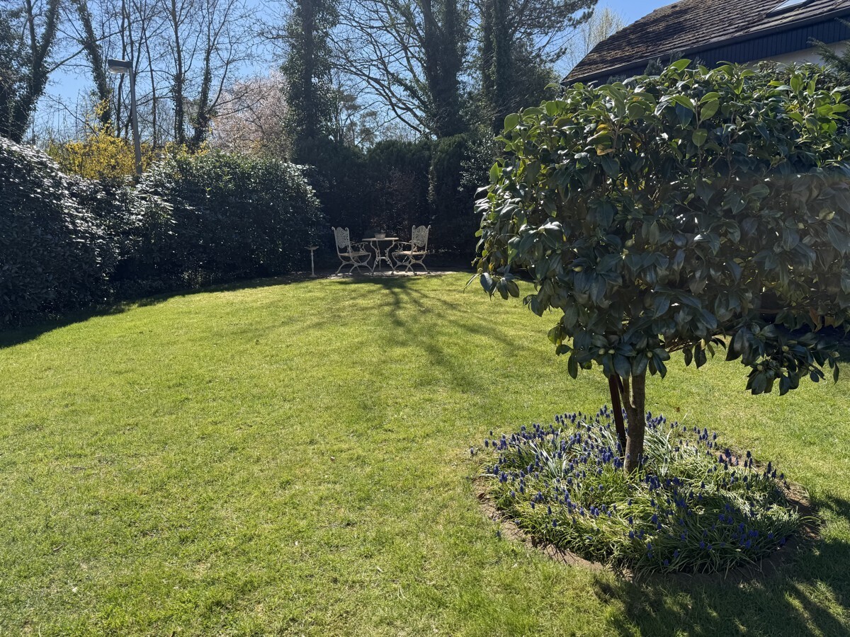 Blick in den Traumgarten