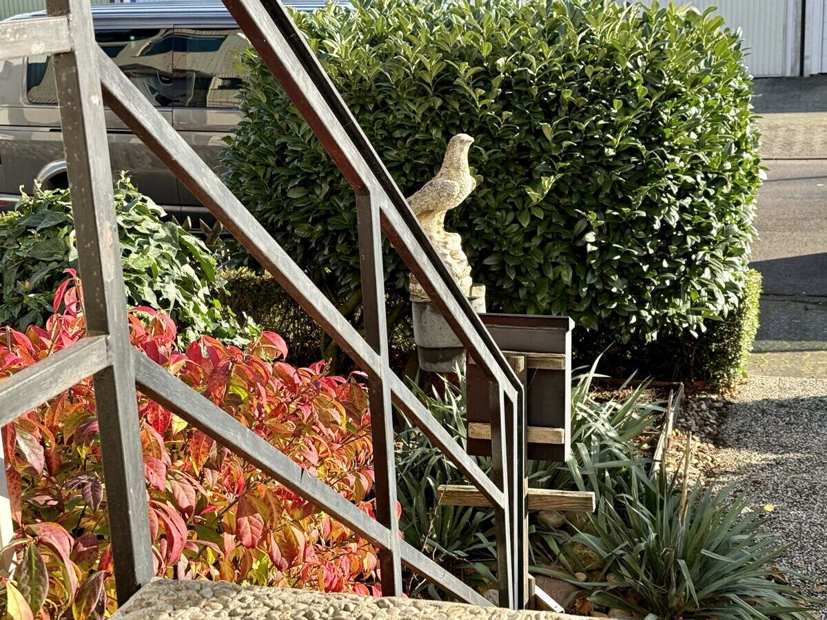 Impression