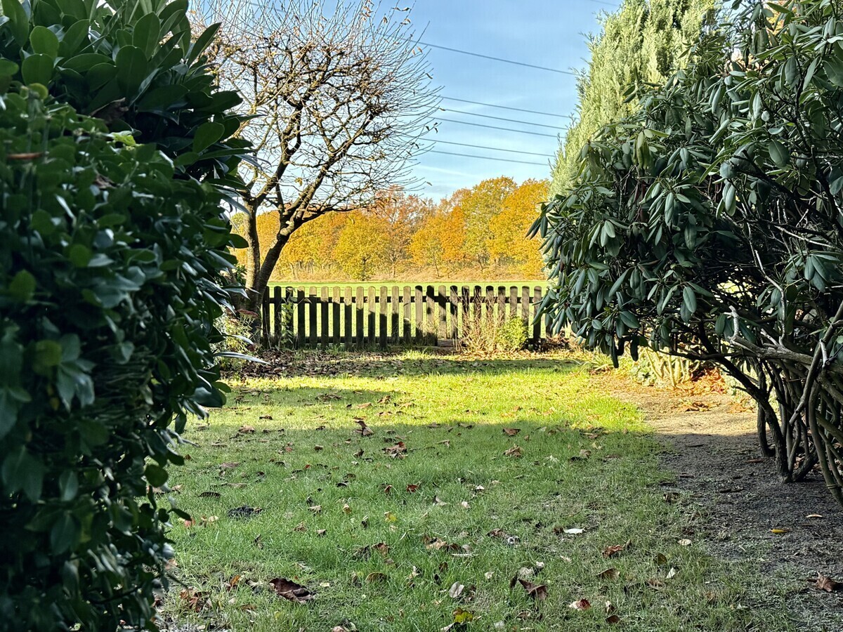 kleiner Garten