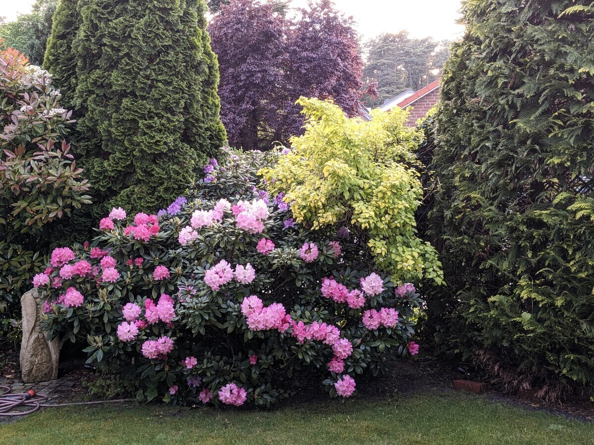 Sommerimpression