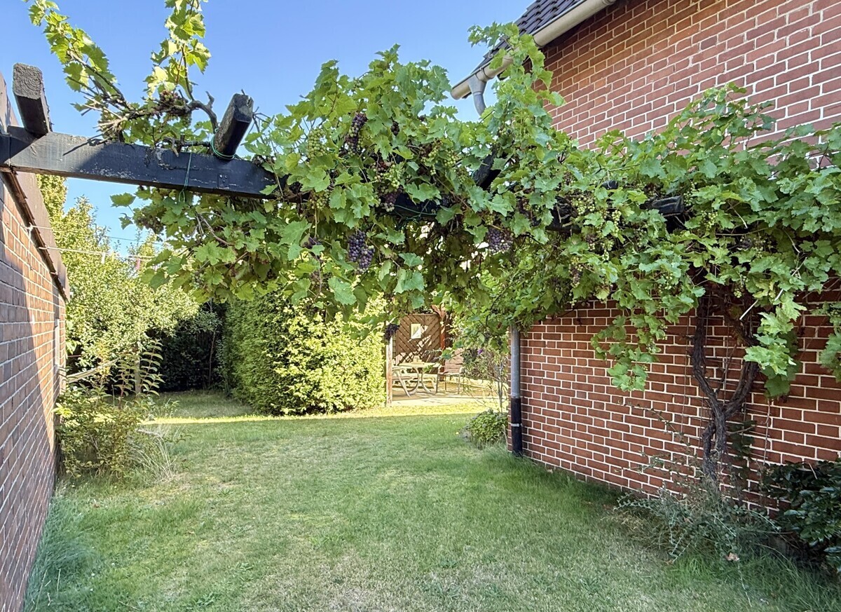 Genießen Sie Ihre eigenen Weintrauben