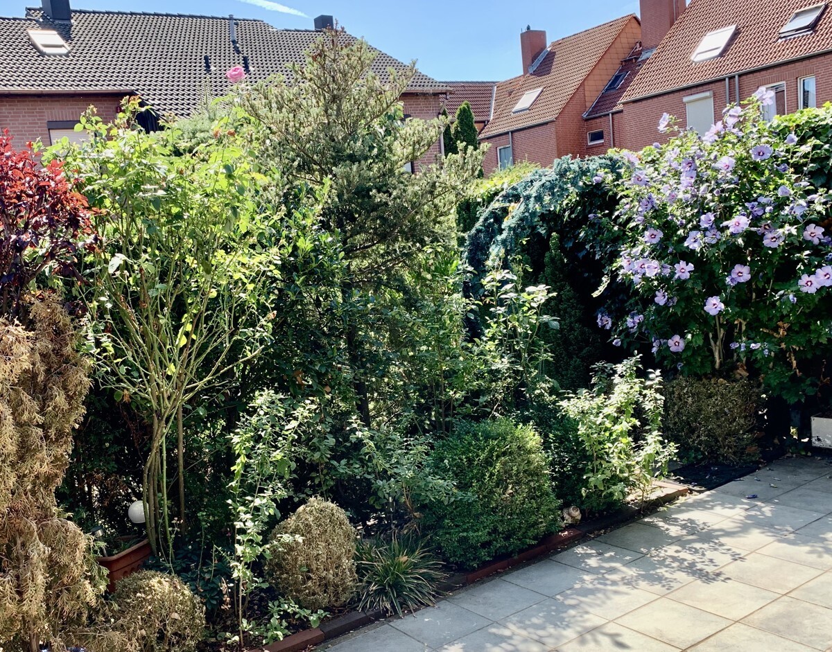 ImpressionenTerrasse