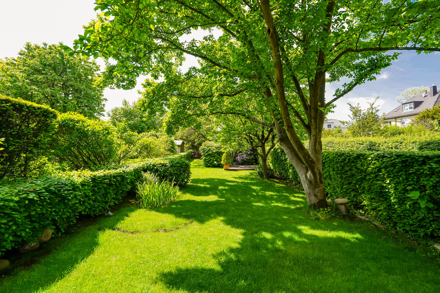 weitläufiger Garten