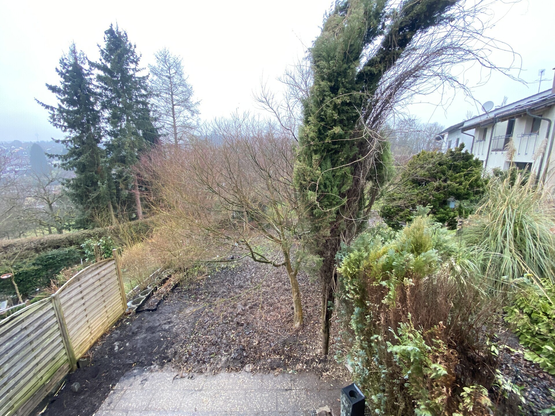 Blick in den Garten 