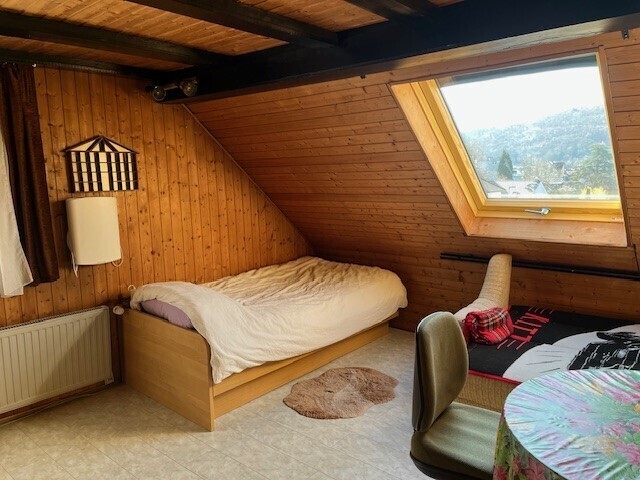 Zimmer DG 