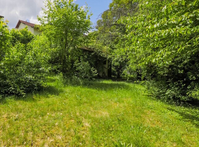Grundstück-Garten