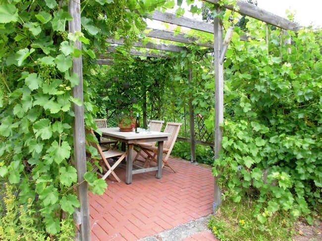 Weinlaube