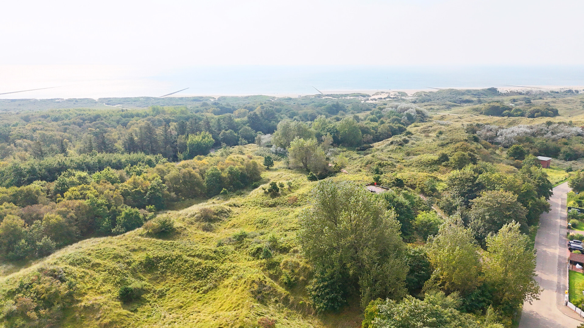 Blick ins Naturschutzgebiet