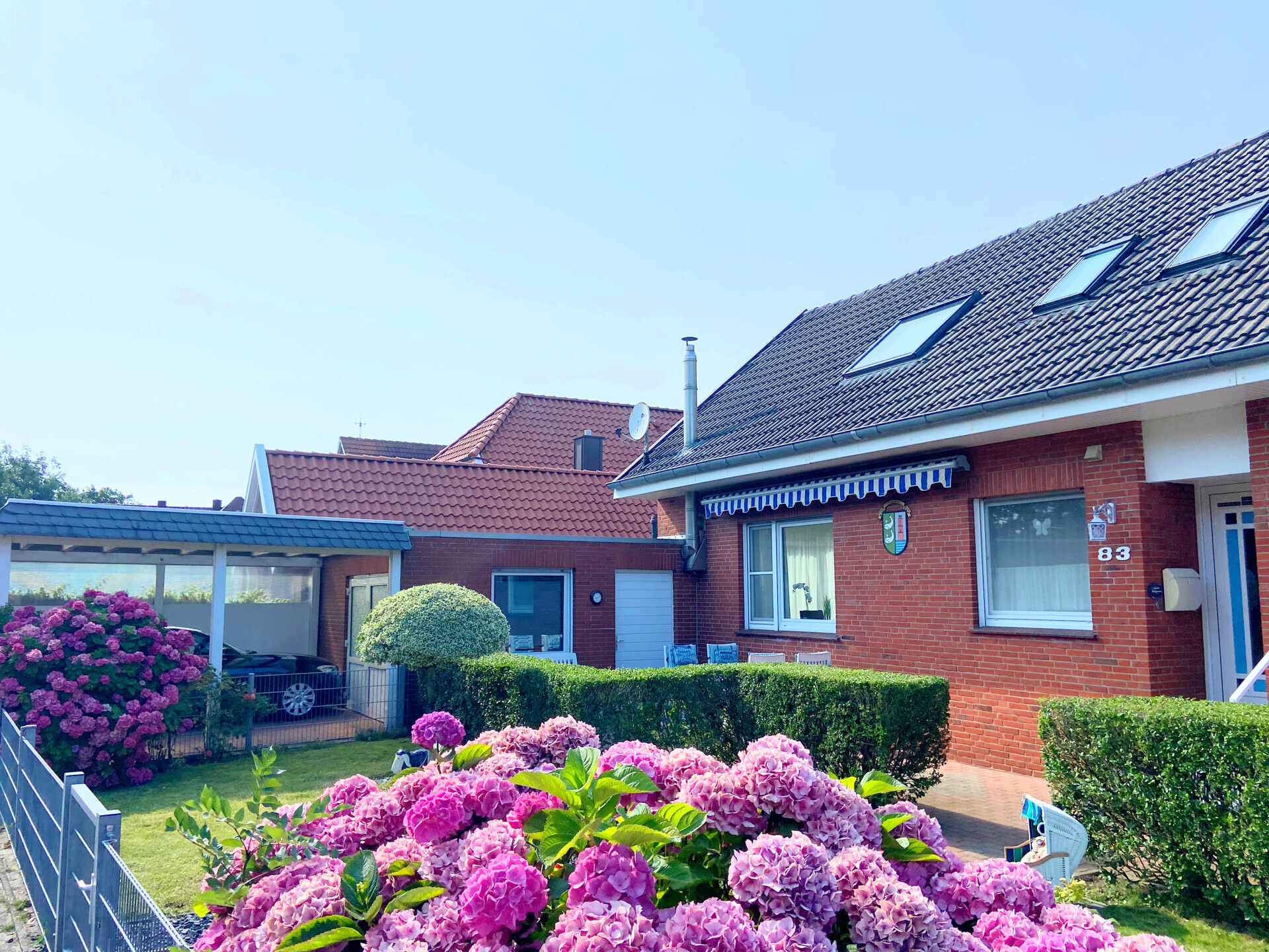 Garten 1