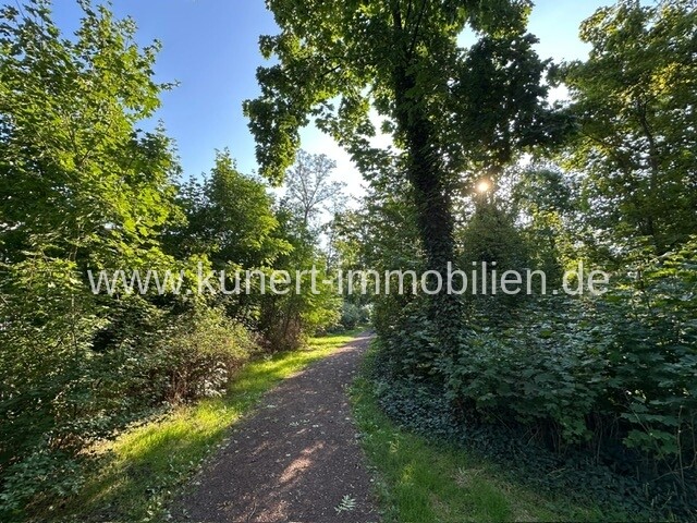 Angrenzender Goethepark