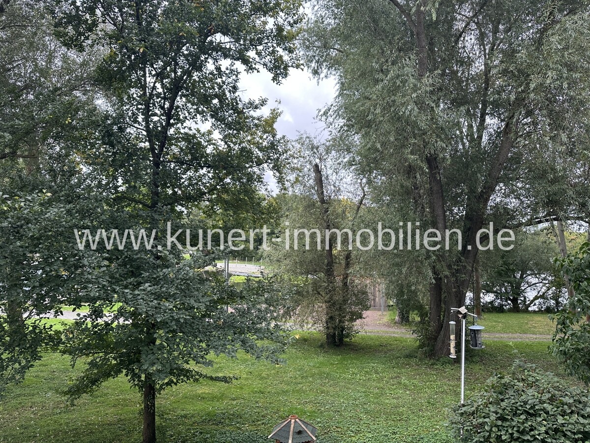 Garten vor derTerasse