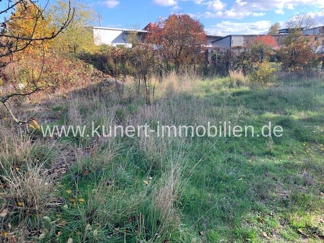 Grundstück