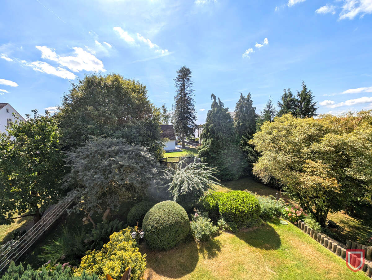Blick in den Garten