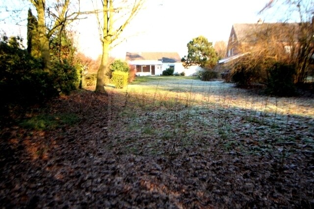Garten Rückseite