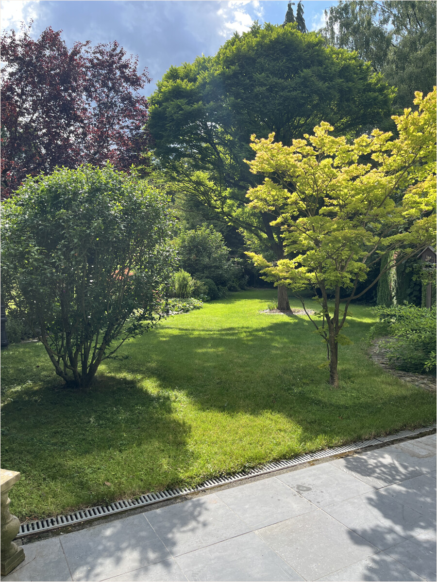 Peter Dondorf Immobilien - Garten