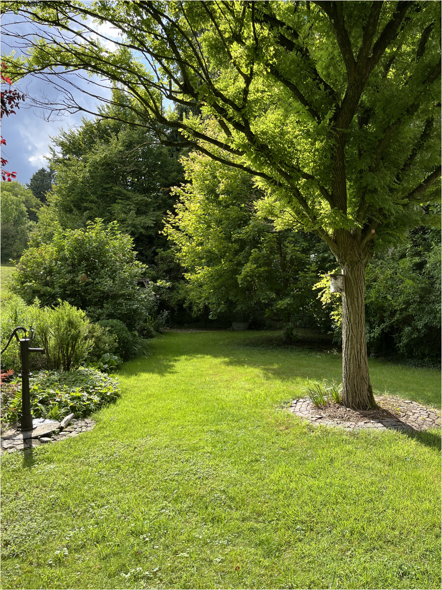 Peter Dondorf Immobilien - Garten