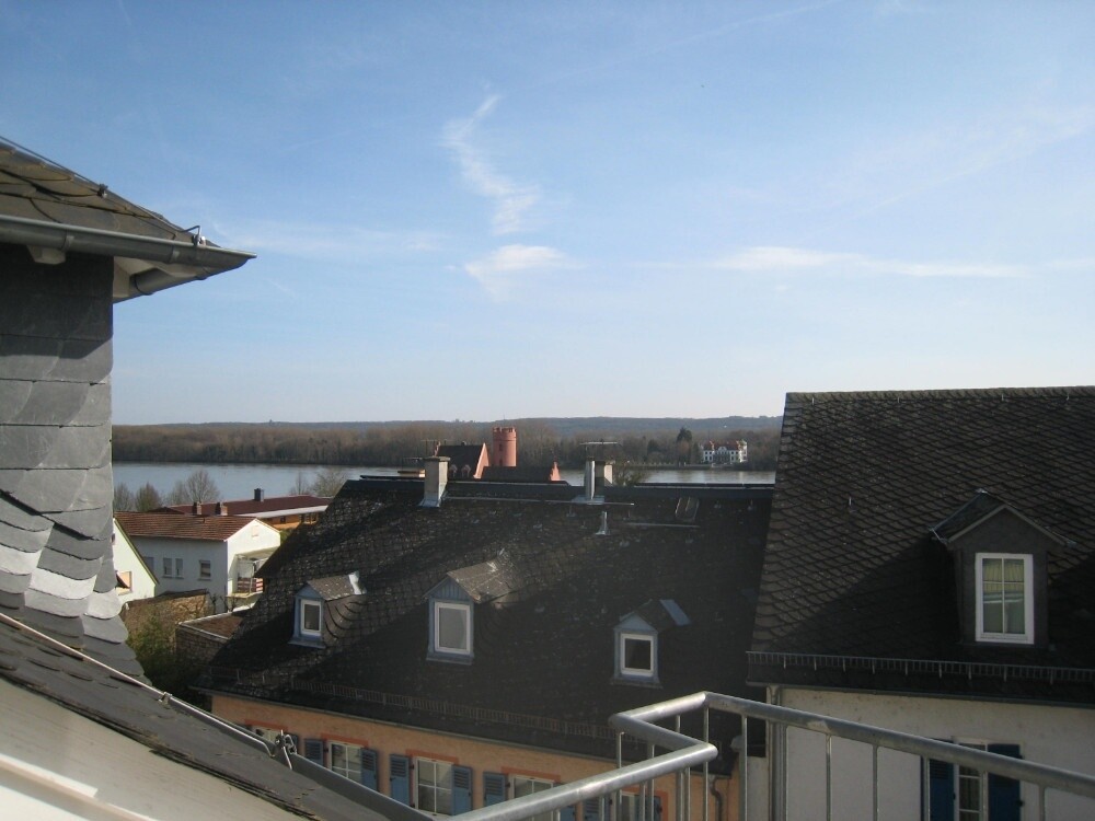Blick zum Rhein