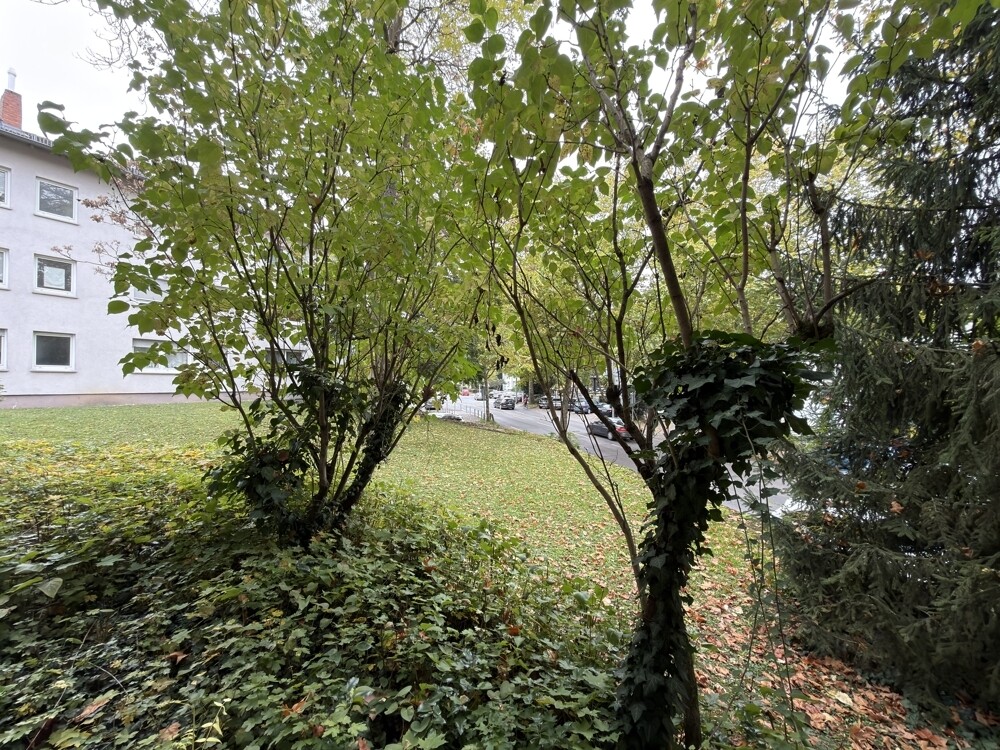 Blick in den Gartenbereich