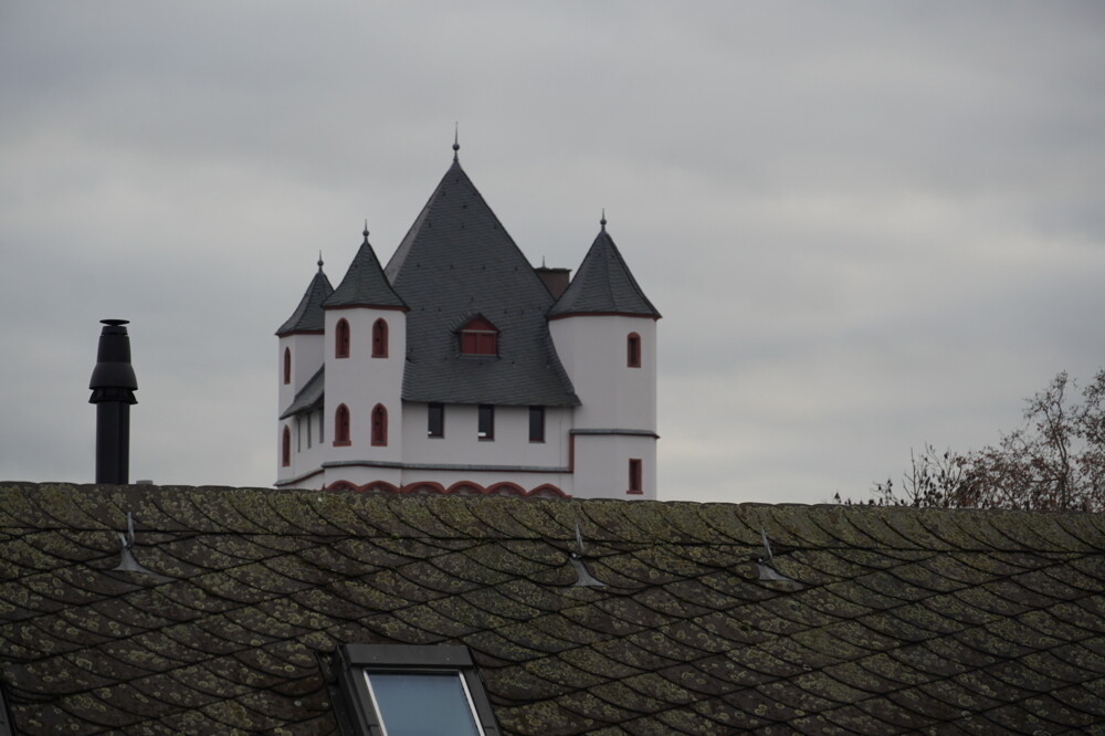 Ausblick