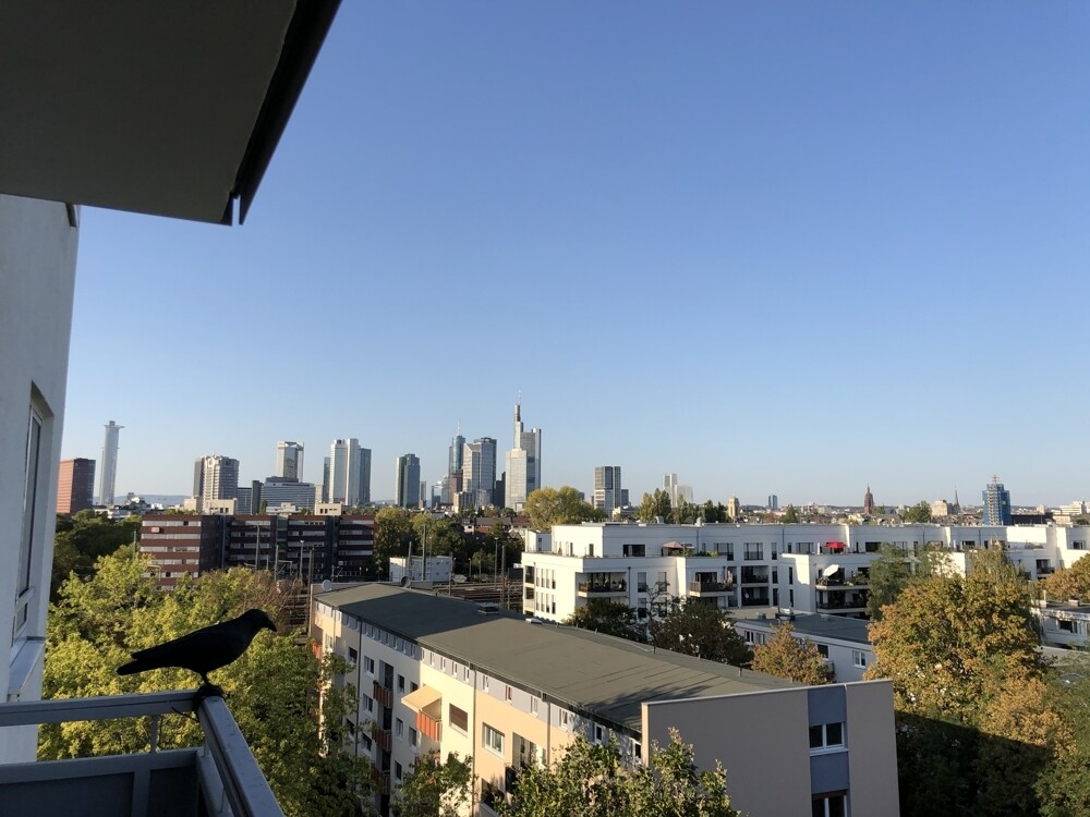 Immobilienbild