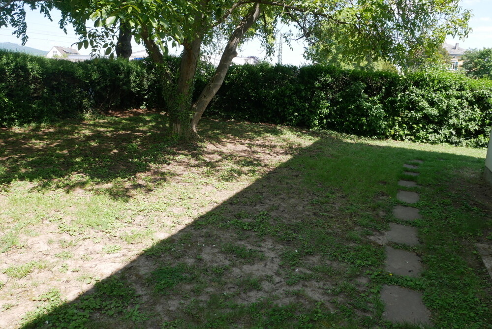 Immobilienbild
