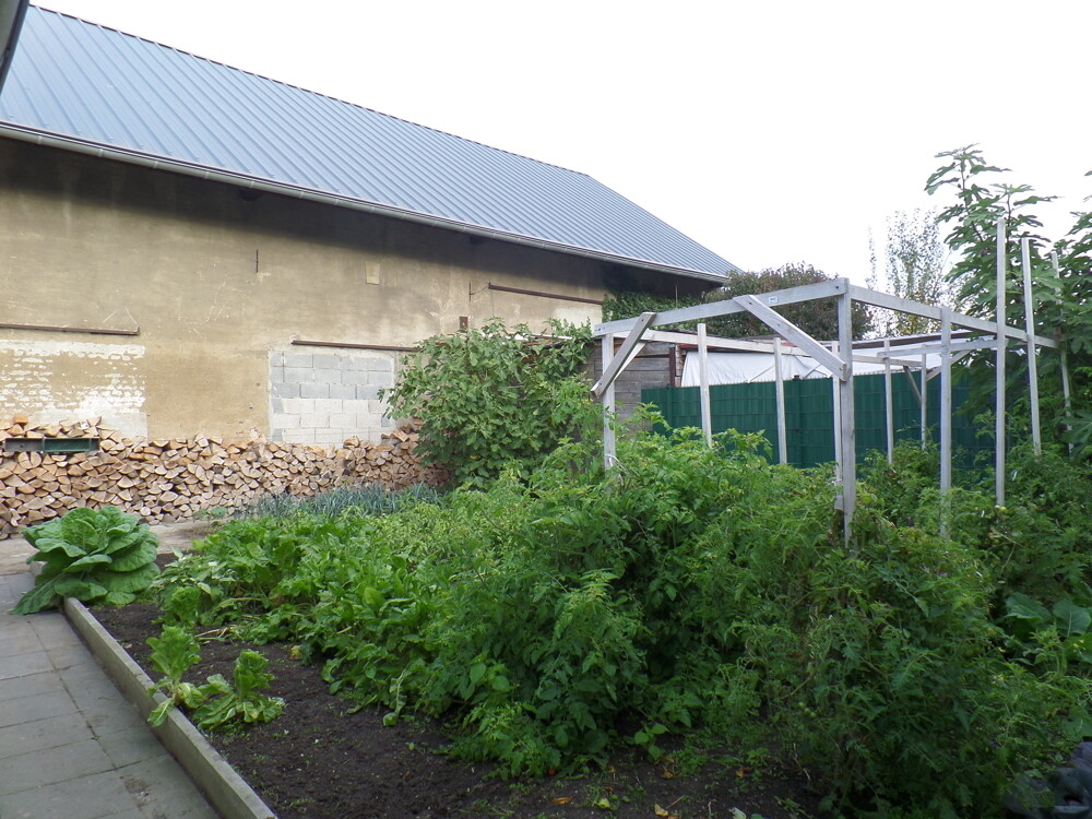 Gemüsegarten