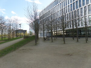 Immobilienbild