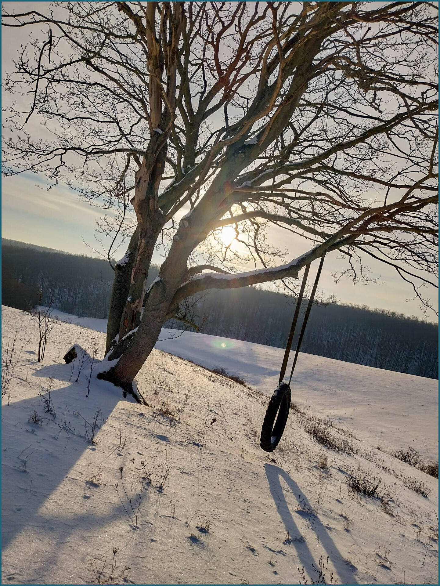 Winter