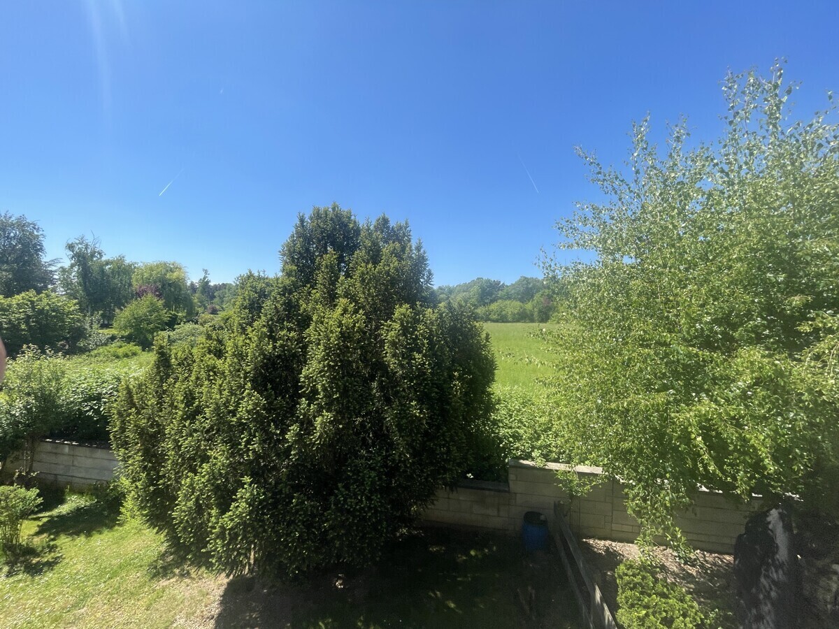 Blick ins Grüne